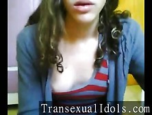 A Transgender Teen Posing On Cam