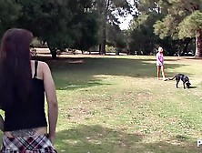 Blondie Picked Up In The Park And With A Dildo Wrecked