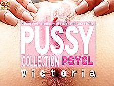 Pussy Collection Observed A Pussy Slowly And Carefully - Victoria - Kin8Tengoku