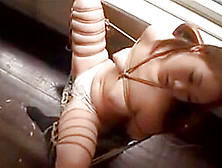 Beautiful Japanese Girl With A Marvelous Ass Gets Tied Up A
