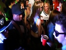 College Fuck Fest Is Back