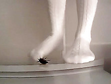 Lauren Crushes Cockroaches Barefoot