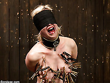A Lot Of Clothespins Make Busty Blonde Crazily Excited