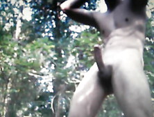 Guy Jerking Naked In A Park