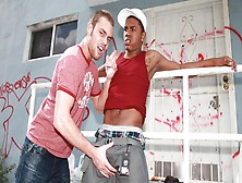 Gay Wire - Thug Hunter - Outdoor Interracial (White On Black) With Andras Styles And Rico Giovani