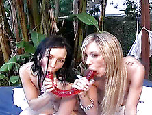 Hoes Amy Brooke And Ashli Orion Sharing A Delicious Throbbing Dong
