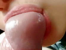 Candy My Sister In Law Car Blowjob