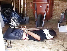 Tomiko Hogtied In The Garden Shed