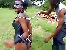 African Slave Gets Bound Up In Nature