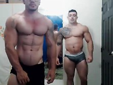 Double Muscle Cam
