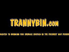 Slave Sucking Tranny Dick