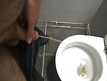 Piss And Cum In Motorway Pubblic Toilette