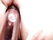 Squirting And Cum For My Fucking Fans