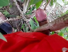 Cock Will Relax Like Pussy Fucking Tree With Your Cock