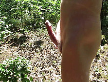 Ls's Nude Forest Trip #1: On Public Trail