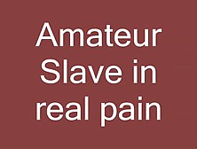 Amateur Slave In Great Pain - Xhamster. Com
