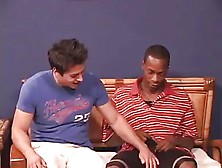 Hung Black Guy Raw Breeds Cute White Lad