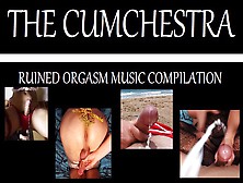 The Cumchestra - Ruined Cumming Music Mix Of
