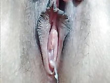 Delicious Close Up Of Creamy And Hairy Pussy
