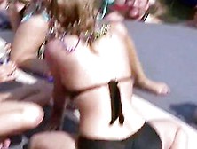 Springbreaklife Video: Party Cove Sexfest