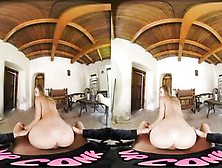 Vrconk Foxy Alina Blowing Your Penis To Hide Her Concealed Vr Porn