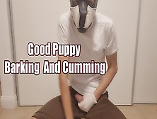 Puppy Jerking Off, Cumming And Barking Very Loudly, Puppy Play