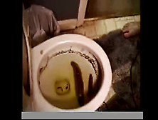 Man Eats Shit From Filthy Toilet