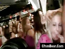 Public Blowjob For Strippers From Cfnm Amateur Babes