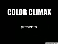 Color Climax - Family Fuckers