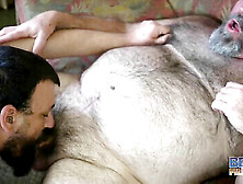 Hairy Mature Teddy Bear Receives A Raw Breeding Session
