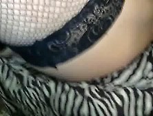 Panty Snakes