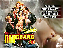 Gangbang Girl 10 (1993)