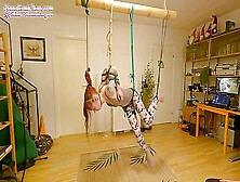 Girl In Chicken Wing (Tenshi Harness) Suspension P3