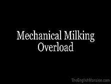 Mechanical Milking....