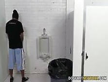 Pornstar Riley Reid No Banheiro Gritando Arrombada Por Negros Dotados