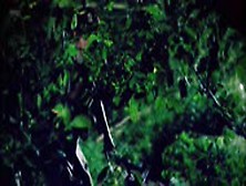 Kim Poirier In Silent But Deadly (2011)