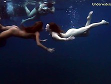 Sweet Submerged Hot Babes Underwater