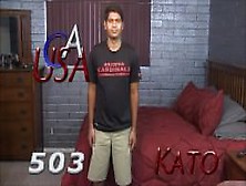 Causa 503 Kato