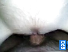 Hairy Teen Spreed Pussy For Cum