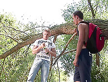 Outside Blowjob In The Wood Is Amazing Adventure For Wild Gay Couple