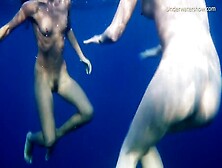 Underwater Show Featuring Belle's Hd Clip