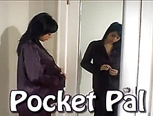 Preg-Nancy Pocket Pal