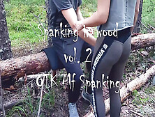 Wife Spanking In The Forest