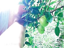 Erotic Chick Pee Over Pears Inside The Garden - Angel Fowler
