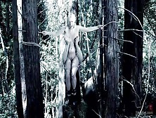 Blonde Slut Gets Tied In The Trees
