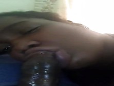 The Chocolate Gummybare Sucking My Dick Up In Her Big Comfortable Bed