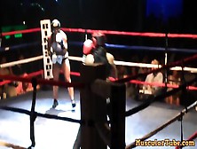 Fbb Britt Destroys Female Boxer