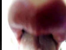 Antomouth Paradise Mouth Closeup