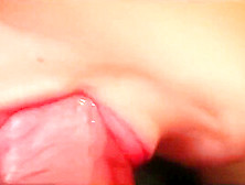 Amazing Blowjob By Ohmaria (Cum Dripping From Mouth)