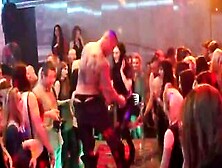 Frisky Kittens Get Absolutely Foolish And Naked At Hardcore Party